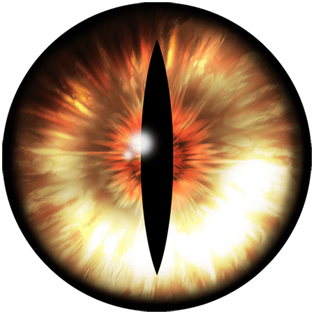Eye PNG Picture