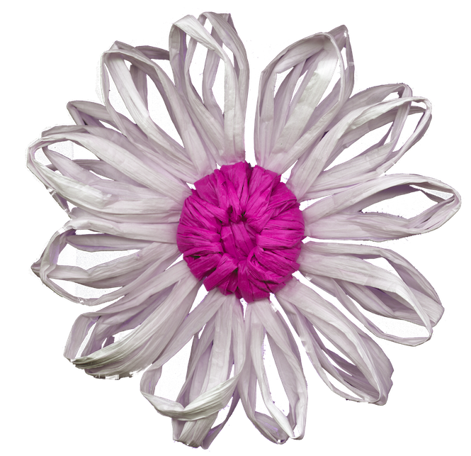 Imagen de la flor PNG de la tela