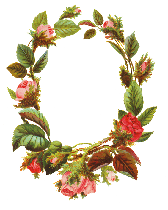 Flower Frame PNG Background Image