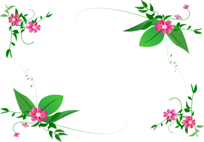Flower Frame PNG Image Background