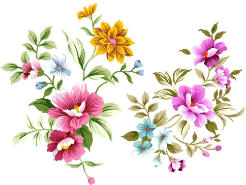 ภาพพื้นหลังดอกไม้ PNG