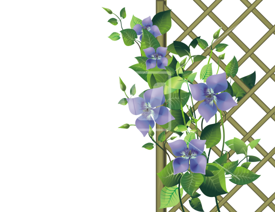 Imagens transparentes de jardim