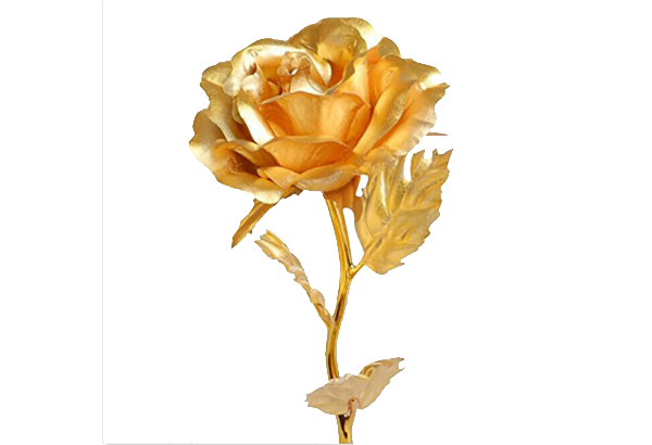 Golden Rose PNG Download Image
