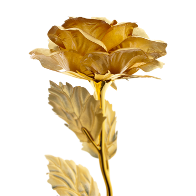 Золотая роза PNG картина