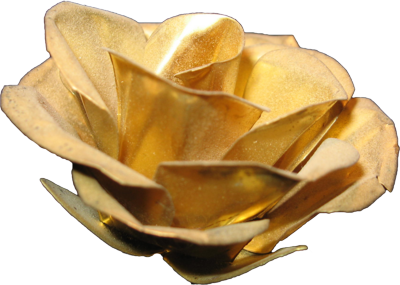 Gouden roos Transparant Beelds