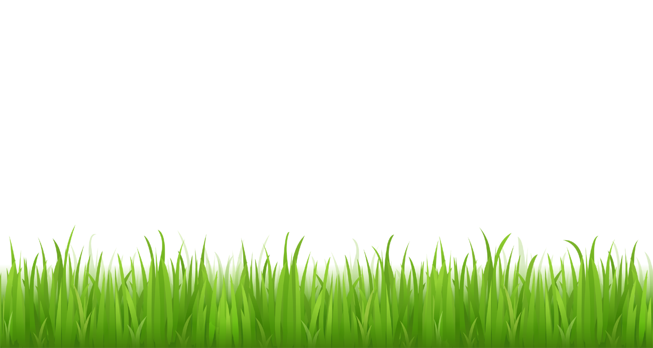 Grass PNG Pic