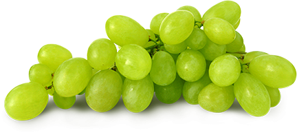 Green Grapes PNG Gambar Gratis
