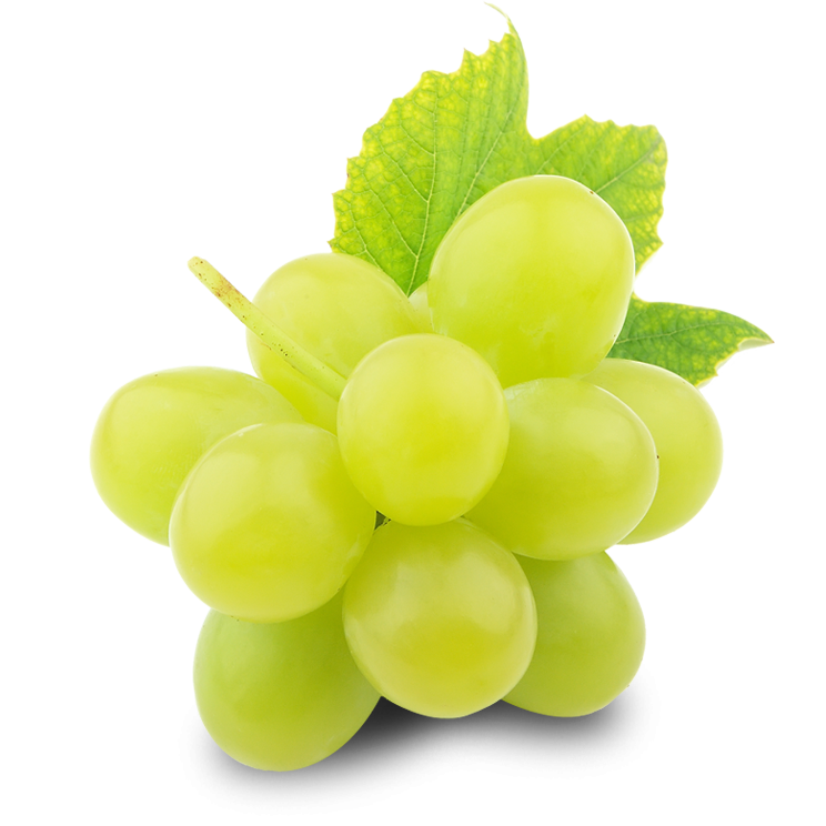 Зеленый виноград PNG скачать бесплатно