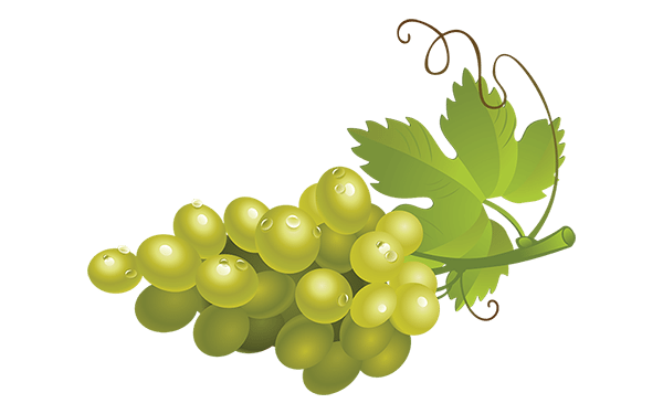 Uvas verdes PNG Imagen de alta calidad