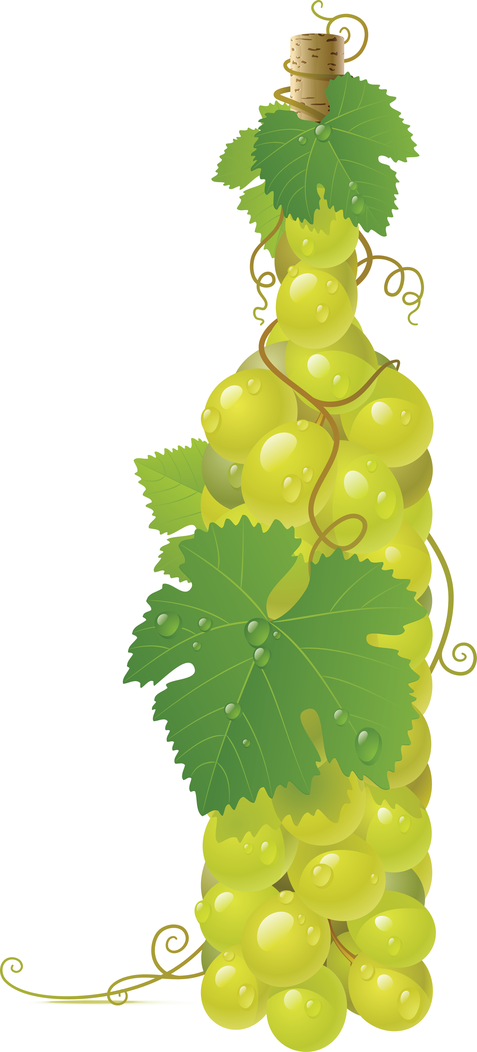 Зеленый виноград PNG Image