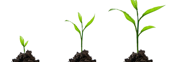 Growth PNG Image with Transparent Background