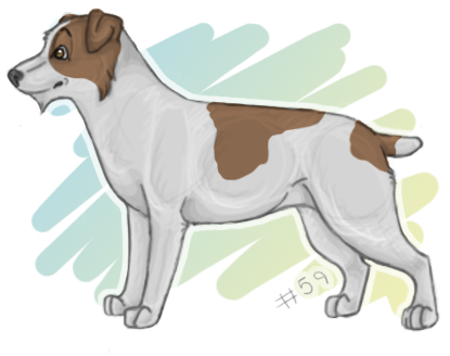 Jack russell terrier PNG image