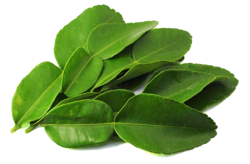 Kaffir Lime Leaves PNG Pic