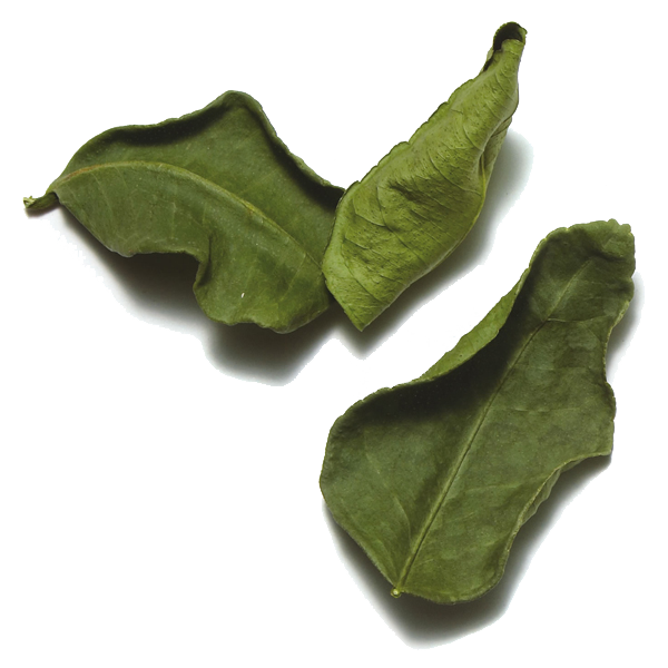 Foto de las hojas de lima de kaffir