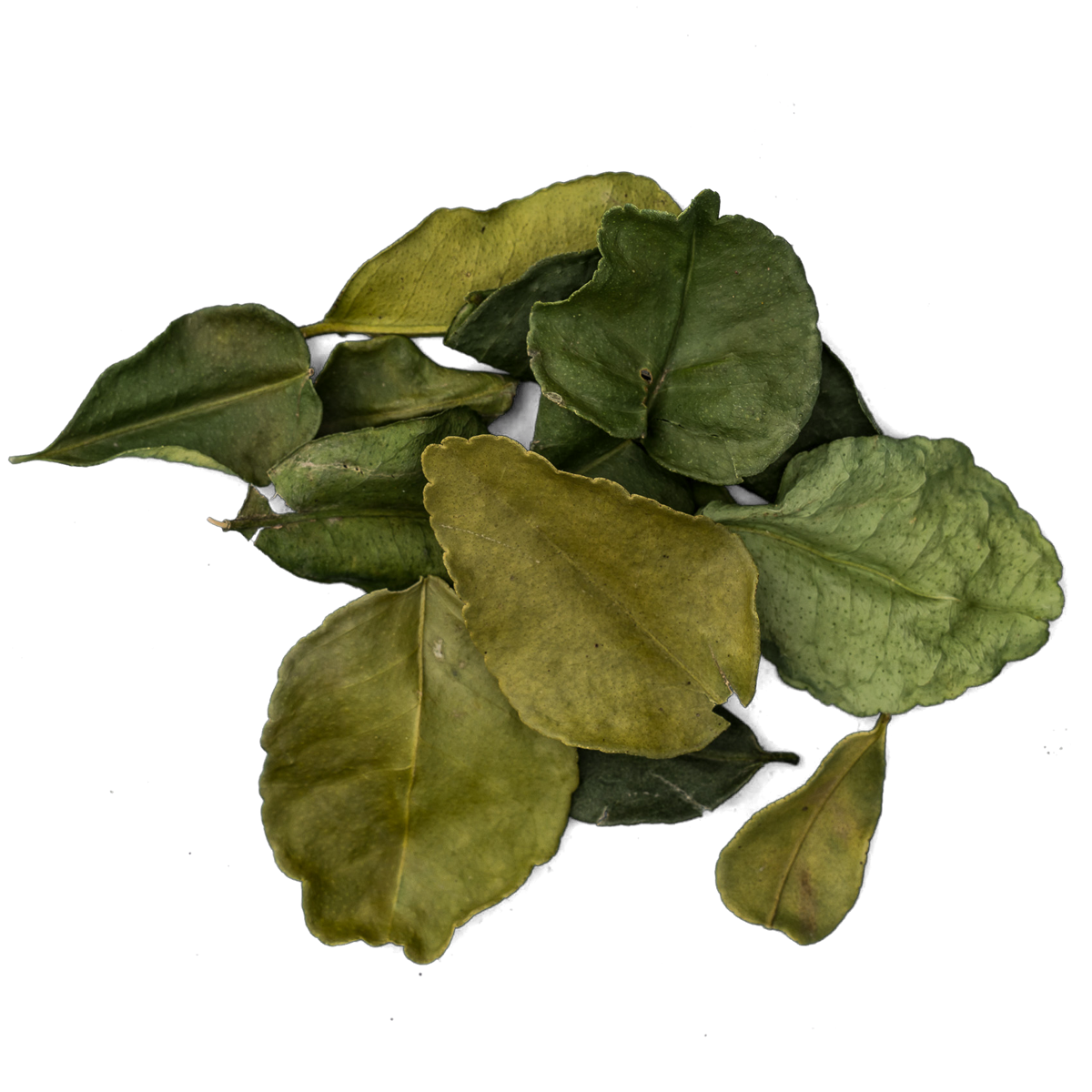 kaffir lime leaves PNG