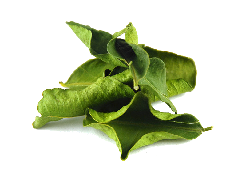 kaffir lime 잎 투명한 이미지 잎
