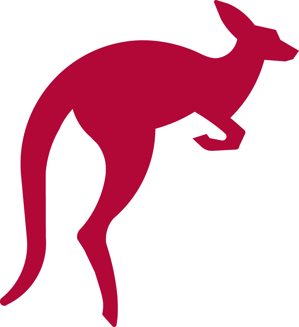 Kangaroo Jumping PNG Scarica limmagine