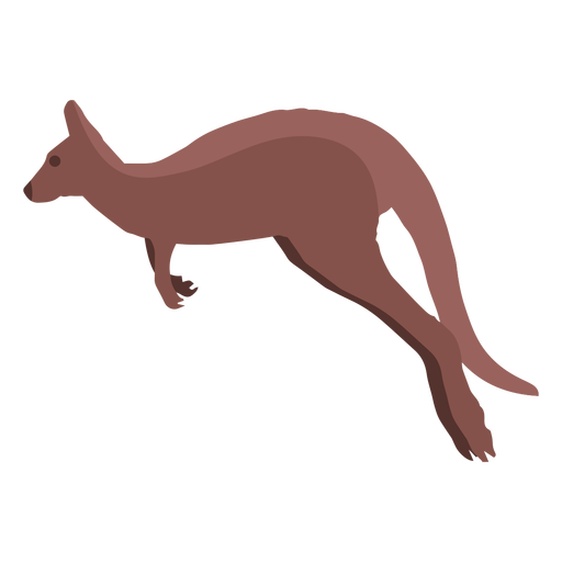 Kangaroo Jumping PNG прозрачный образ