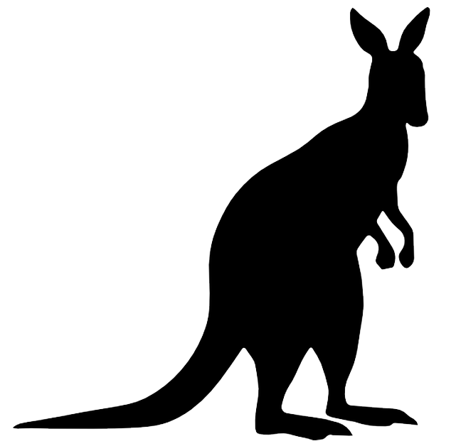 Kangaroo PNG прозрачный образ