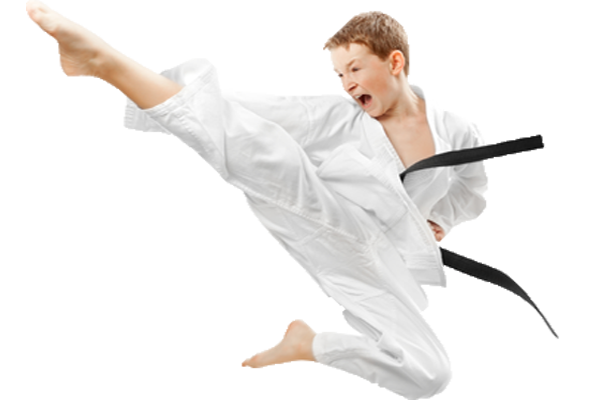 Karate Kick GRATUIt PNG image