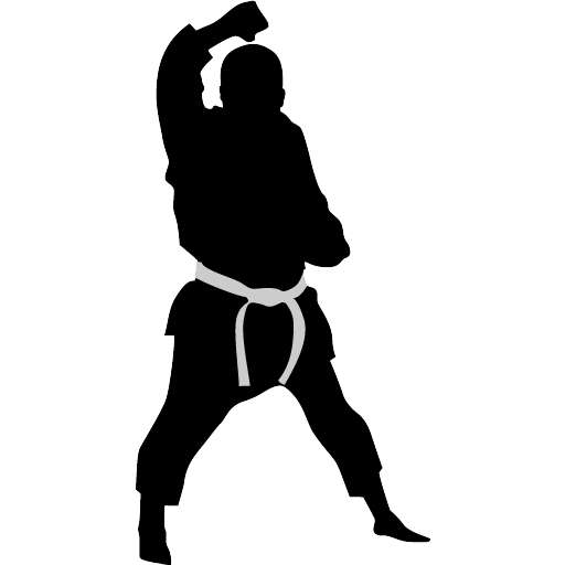 Descarga gratuita de Karate PNG