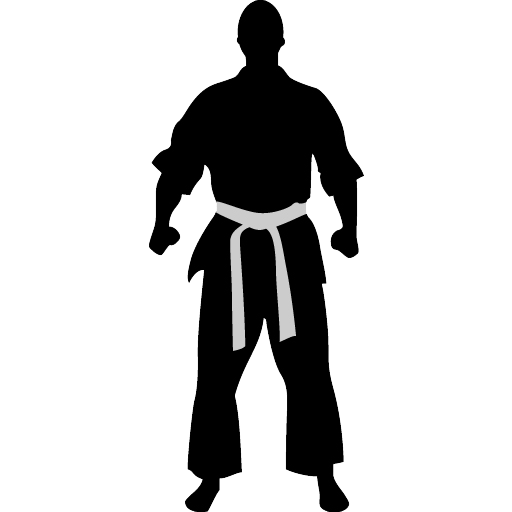 Karate PNG Image with Transparent Background