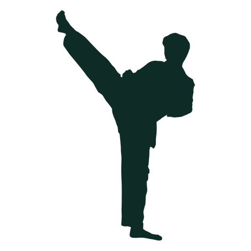 Imagen Transparente de karate