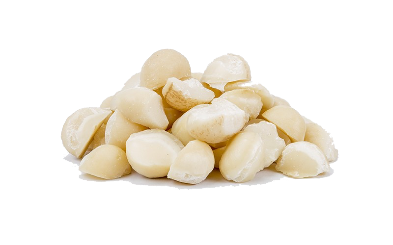 Macadamia Nuts PNG Download Image
