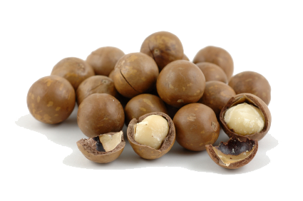 Macadamia Nuts PNG Téléchargement GRATUIT