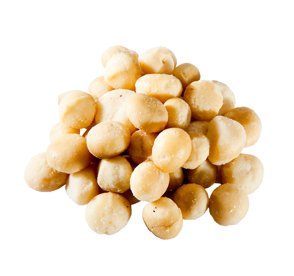 Macadamia Nuts PNG Image with Transparent Background