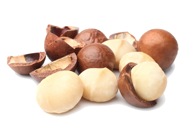 Macadamia Nuts PNG Photo