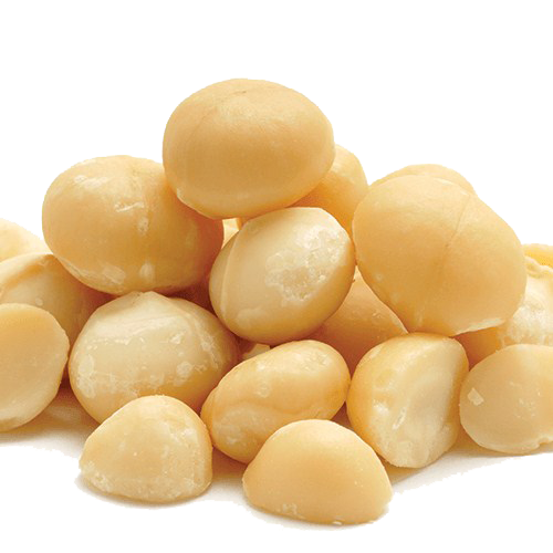 Macadamia Nuts PNG Pic