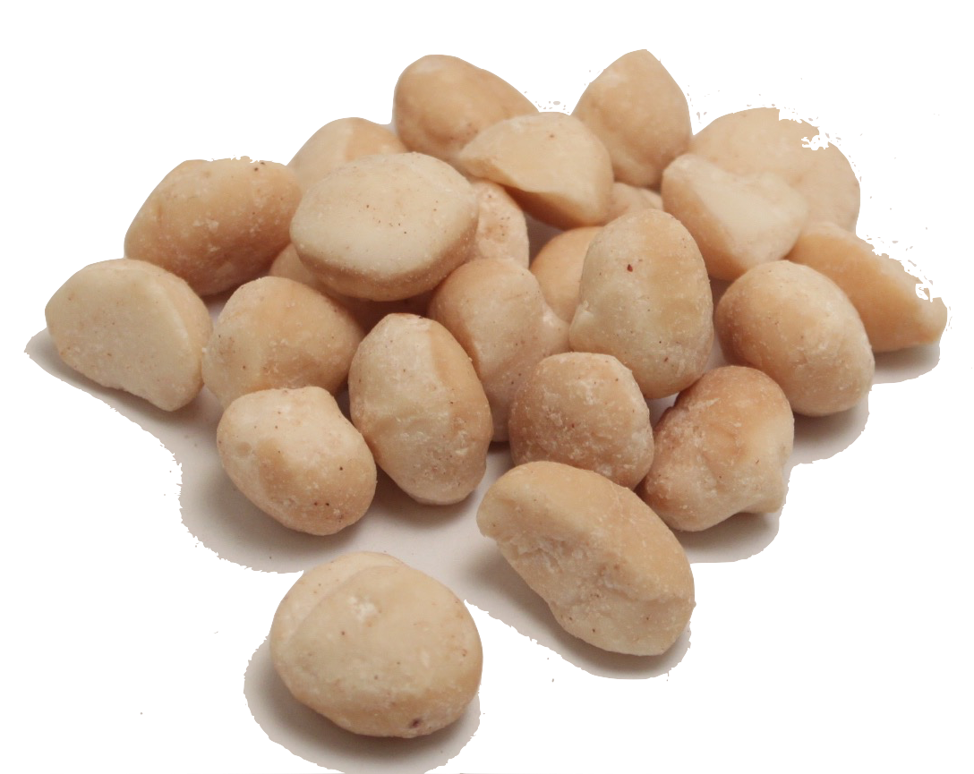 Macadamia Nuts PNG Transparent Image