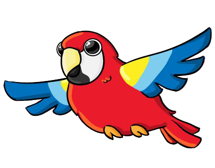 Macaw Gesicht PNG-Bild