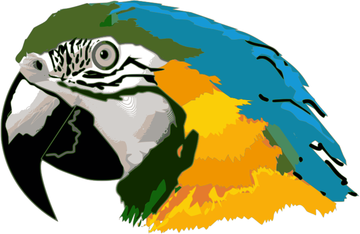 Macaw visage PNG image