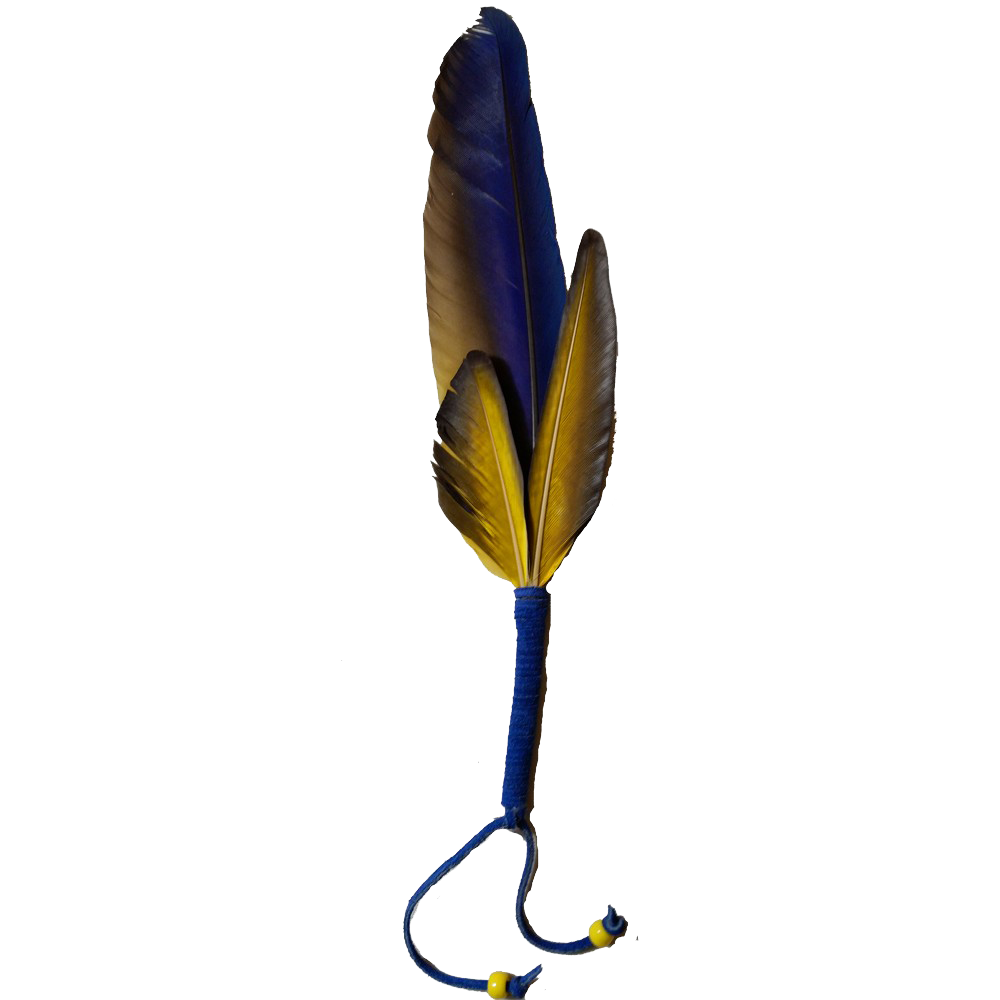 Image PNG de plume macaw haute qualité