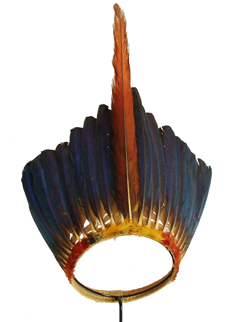 Image Transparente de plumes araaw