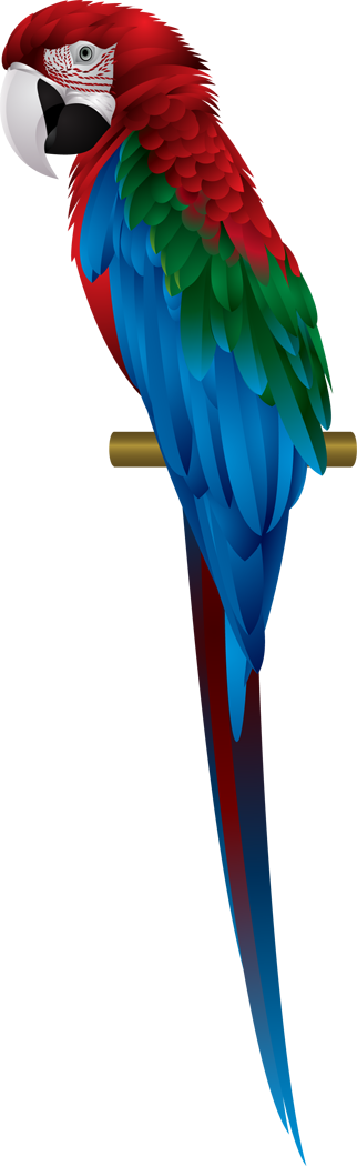 Fond de limage PNG macaw