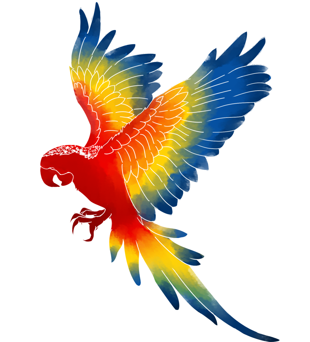 Image PNG macaw