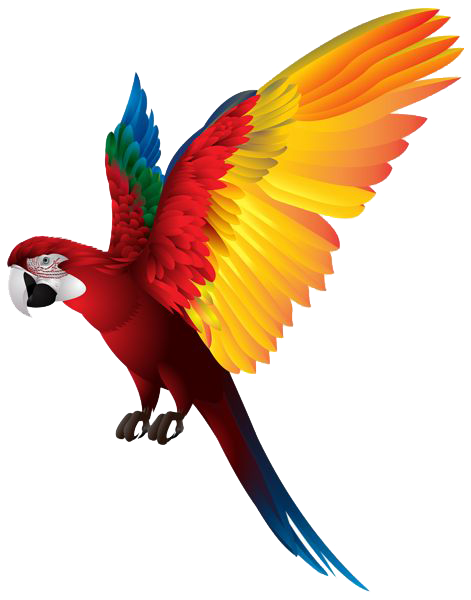 Macaw Parrot PNG Download Afbeelding