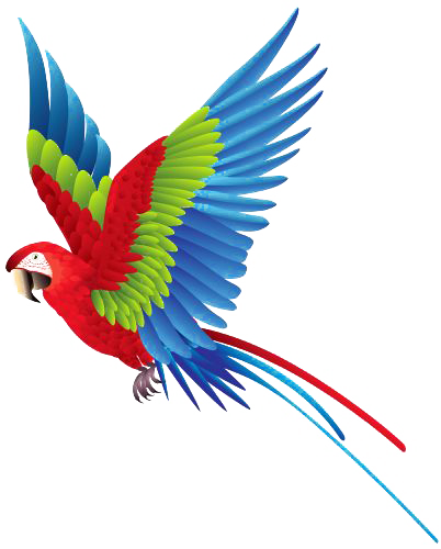 Macaw Parrot PNG-Bild