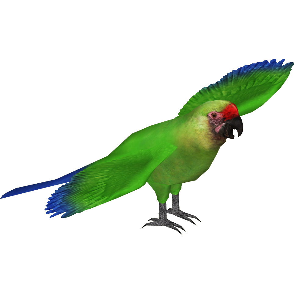 Fond Transparent macaw PNG