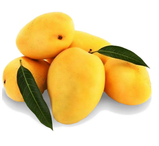 Mango Free PNG Image