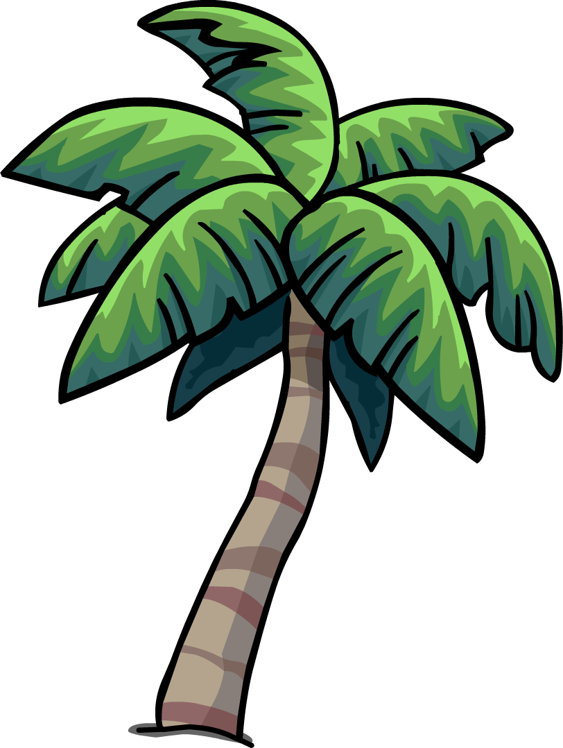 Palm PNG Free Download