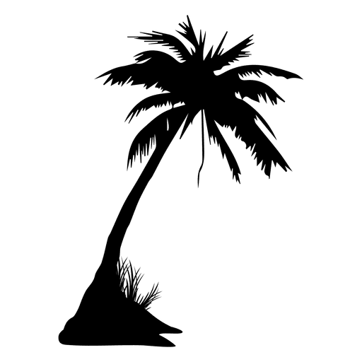 Palm PNG-Bild