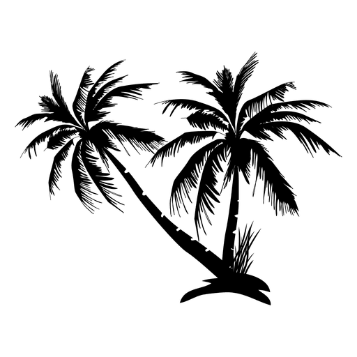 Palm Transparant Beeld