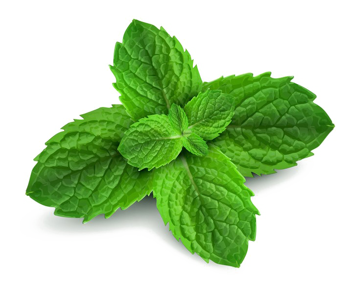 Peppermint PNG Free Download