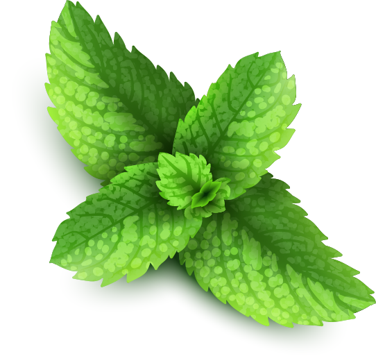 Peppermint PNG High-Quality Image