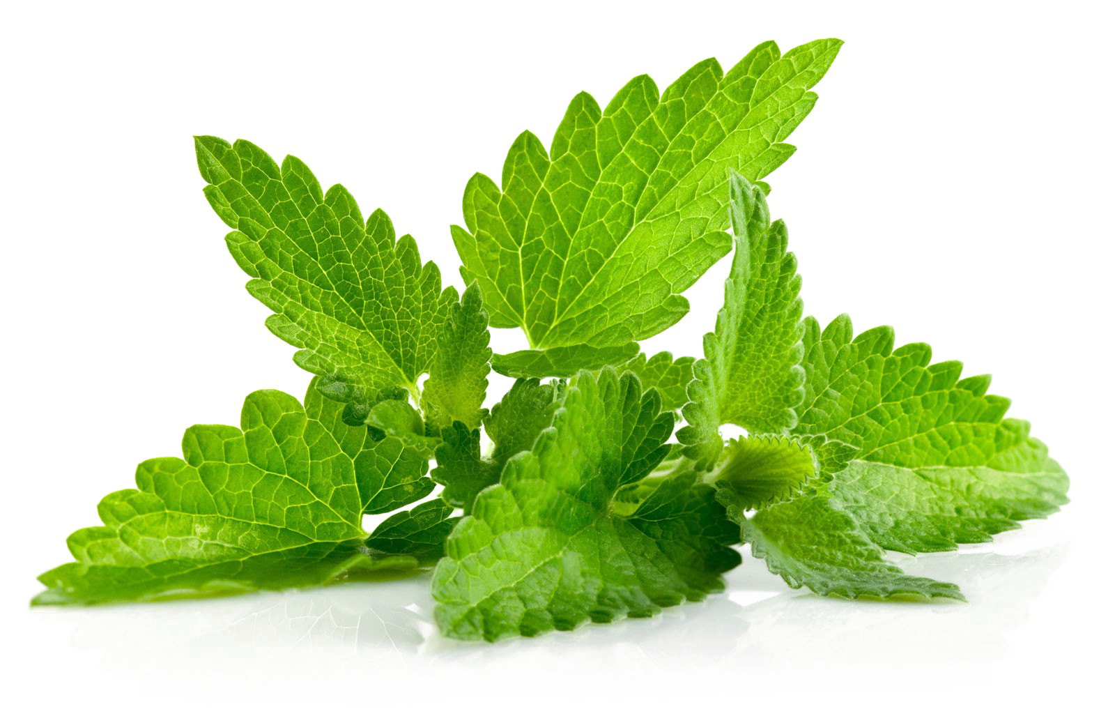 Peppermint PNG Picture