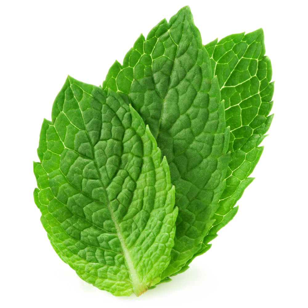 Peppermint Transparent Background PNG